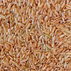 Arroz Integral