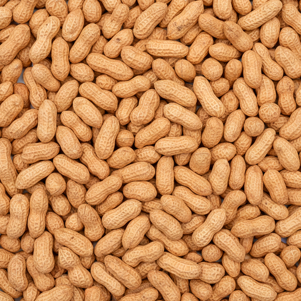 Mani Tostado con Cascara