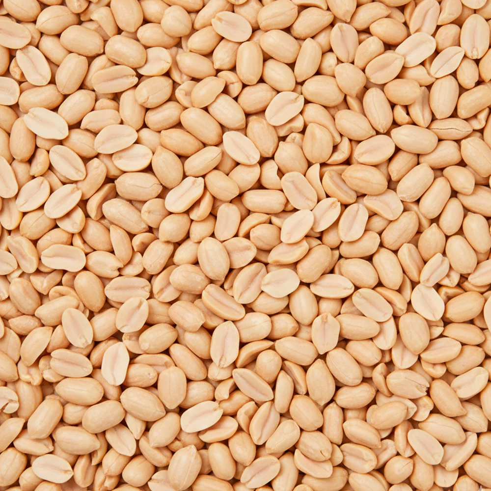 Maní Tostado Salado